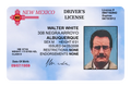 Walter White Drivers License