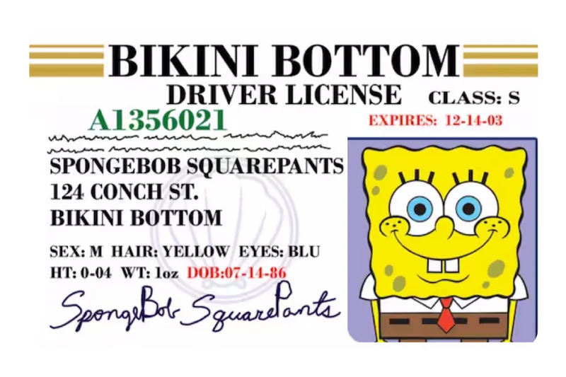 SpongeBob Drivers License